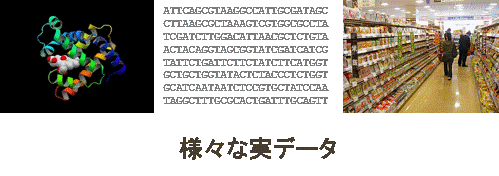 実応用アプローチによる劣線形データ構造の開発